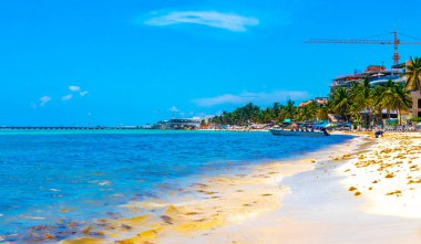 Playa del Carmen Quintana Roo Meksika 05. Ağustos 2023 Tropikal Meksika Karayip plajı ve denizi çok eğlenceli insanlarla güneş şemsiyeleri Playa del Carmen Meksika 'da turkuaz su.