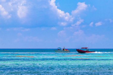 Playa del Carmen Quintana Roo Meksika 05. Ağustos 2023 Tekne yatı Catamaran feribot iskelesi ve limanı Playa del Carmen Mexico 'daki tropikal Meksika plaj manzarası ve turkuaz mavi su..