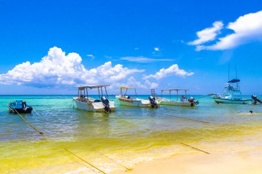 Playa del Carmen Quintana Roo Meksika 05. Ağustos 2023 Tekne yatı Catamaran feribot iskelesi ve limanı Playa del Carmen Mexico 'daki tropikal Meksika plaj manzarası ve turkuaz mavi su..