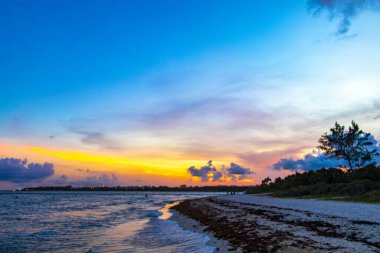 Playa del Carmen Mexico 'da turkuaz mavi su tatil beldeleri ve palmiye ağaçlarıyla tropikal Meksika Karayip Sahili manzarasında muhteşem ve renkli gün batımı..