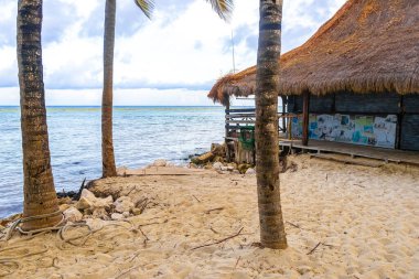 Playa del Carmen Mexico 'da turkuvaz mavisi tatil beldeleri ve palmiye ağaçları olan tropik Meksika Karayip plajı manzarası..