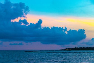 Playa del Carmen Mexico 'da turkuaz mavi su tatil beldeleri ve palmiye ağaçlarıyla tropikal Meksika Karayip Sahili manzarasında muhteşem ve renkli gün batımı..