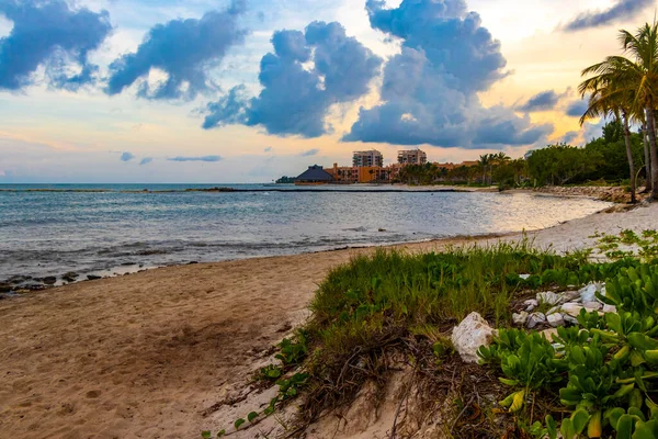 Playa del Carmen Mexico 'da turkuvaz mavisi tatil beldeleri ve palmiye ağaçları olan tropik Meksika Karayip plajı manzarası..