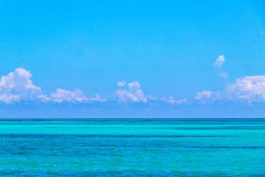 Playa del Carmen Mexico 'da turkuvaz mavisi tatil beldeleri ve palmiye ağaçları olan tropik Meksika Karayip plajı manzarası..