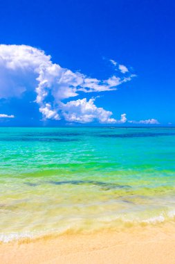Playa del Carmen Mexico 'da turkuvaz mavisi tatil beldeleri ve palmiye ağaçları olan tropik Meksika Karayip plajı manzarası..