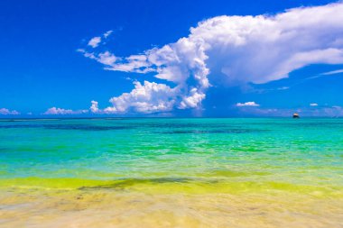 Playa del Carmen Mexico 'da turkuvaz mavisi tatil beldeleri ve palmiye ağaçları olan tropik Meksika Karayip plajı manzarası..