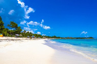 Playa del Carmen Quintana Roo Mexico 09. Eylül 2023 Tropikal Meksika Karayip plajı ve denizi çok eğlenceli insanlarla güneş şemsiyeleri Playa del Carmen Meksika 'da turkuaz su.