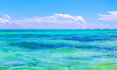 Playa del Carmen Mexico 'da turkuvaz mavisi tatil beldeleri ve palmiye ağaçları olan tropik Meksika Karayip plajı manzarası..