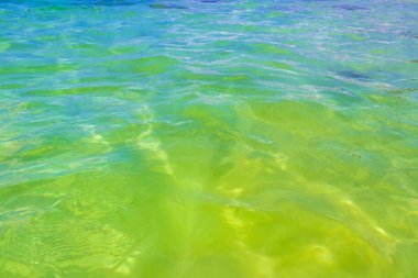 Playa del Carmen Meksika 'da berrak turkuaz mavi sularla tropikal Meksika sahili manzarası ve Karayip denizinde su ve kum dalgaları..
