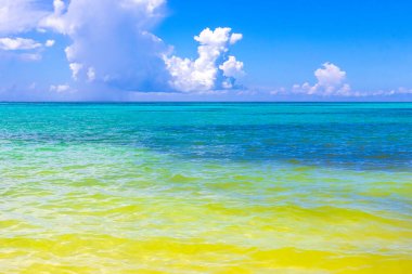 Playa del Carmen Mexico 'da turkuvaz mavisi tatil beldeleri ve palmiye ağaçları olan tropik Meksika Karayip plajı manzarası..