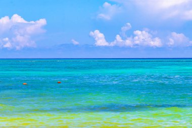 Playa del Carmen Mexico 'da turkuvaz mavisi tatil beldeleri ve palmiye ağaçları olan tropik Meksika Karayip plajı manzarası..