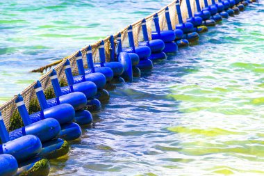 Sargazo yosunlu deniz yosunu ağ halatı ve açık turkuaz mavi şamandıralarla Playa del Carmen Meksika 'da.