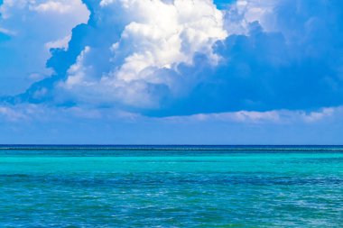 Playa del Carmen Mexico 'da turkuvaz mavisi tatil beldeleri ve palmiye ağaçları olan tropik Meksika Karayip plajı manzarası..