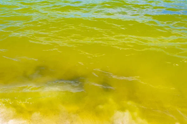 Playa del Carmen Meksika 'da berrak turkuaz mavi sularla tropikal Meksika sahili manzarası ve Karayip denizinde su ve kum dalgaları..