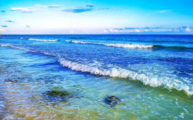 Playa del Carmen Quintana Roo Meksika 'daki Karayipler sahilinde turkuaz yeşil ve mavi sularda kayalar ve mercanlar..