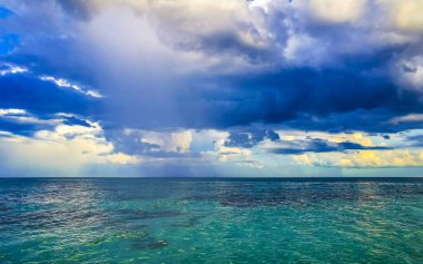 Playa del Carmen Mexico 'da turkuvaz mavisi tatil beldeleri ve palmiye ağaçları olan tropik Meksika Karayip plajı manzarası..