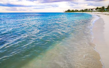 Playa del Carmen Mexico 'da turkuvaz mavisi tatil beldeleri ve palmiye ağaçları olan tropik Meksika Karayip plajı manzarası..