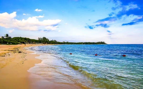 Panorama Tropical Playa Caribeña Mexicana Con Balnearios Palmeras Playa Del Fotos De Stock Sin Royalties Gratis