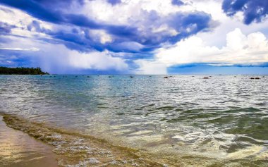 Playa del Carmen Mexico 'da turkuvaz mavisi tatil beldeleri ve palmiye ağaçları olan tropik Meksika Karayip plajı manzarası..