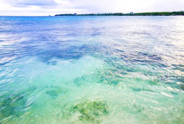 Playa del Carmen Quintana Roo Meksika 'daki Karayipler sahilinde turkuaz yeşil ve mavi sularda kayalar ve mercanlar..