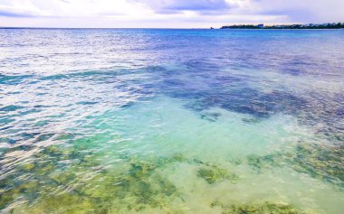 Playa del Carmen Quintana Roo Meksika 'daki Karayipler sahilinde turkuaz yeşil ve mavi sularda kayalar ve mercanlar..