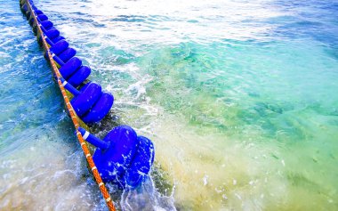 Sargazo yosunlu deniz yosunu ağ halatı ve açık turkuaz mavi şamandıralarla Playa del Carmen Meksika 'da.