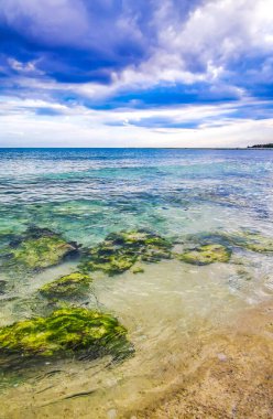 Playa del Carmen Quintana Roo Meksika 'daki Karayipler sahilinde turkuaz yeşil ve mavi sularda kayalar ve mercanlar..