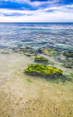 Playa del Carmen Quintana Roo Meksika 'daki Karayipler sahilinde turkuaz yeşil ve mavi sularda kayalar ve mercanlar..