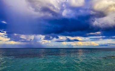 Playa del Carmen Mexico 'da turkuvaz mavisi tatil beldeleri ve palmiye ağaçları olan tropik Meksika Karayip plajı manzarası..
