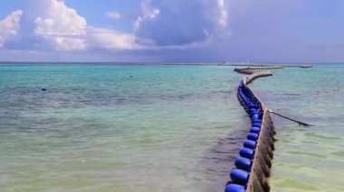 Sargazo yosunlu deniz yosunu ağ halatı ve açık turkuaz mavi şamandıralarla Playa del Carmen Meksika 'da.