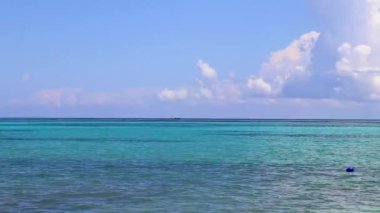 Playa del Carmen Mexico 'da turkuvaz mavisi tatil beldeleri ve palmiye ağaçları olan tropik Meksika Karayip plajı manzarası..