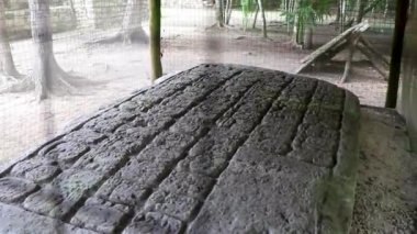 Yazı tipi paneli ve Coba Maya 'daki bilgiler Coba Belediyesi Tulum Quintana Roo Mexico' daki tropikal orman ormanlarındaki antik binaları ve piramitleri harap ediyor..