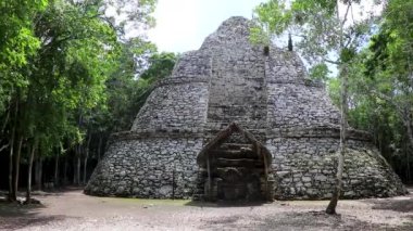 Coba Maya 'daki Xaibe Coba Belediyesi' ndeki tropikal orman ormanı Tulum Quintana Roo Mexico 'daki antik binaları ve piramitleri harap ediyor..