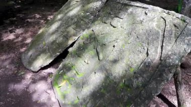 Yazı tipi paneli ve Coba Maya 'daki bilgiler Coba Belediyesi Tulum Quintana Roo Mexico' daki tropikal orman ormanlarındaki antik binaları ve piramitleri harap ediyor..
