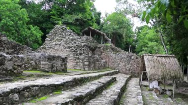 Coba Maya, Coba Belediyesi Tulum Quintana Roo Mexico 'daki tropikal orman ormanlarındaki antik binaları ve piramitleri harap ediyor..