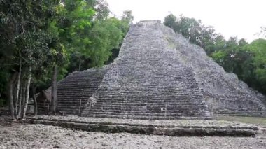 Coba Maya, Coba Belediyesi Tulum Quintana Roo Meksika 'daki tropikal orman ormanlarındaki antik bina ve piramit Nohoch Mul' u harap ediyor..