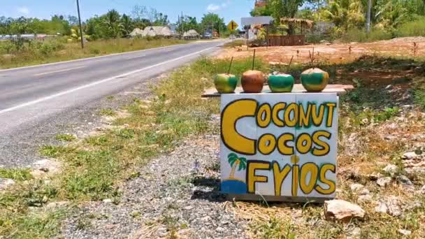 Chiquila Quintana Roo Meksyk Maj 2022 Coconut Cocos Frios Stoisko — Wideo stockowe