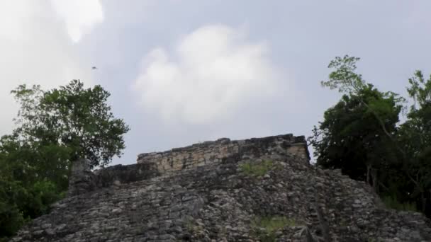 Coba Maya Ruïneert Het Oude Gebouw Piramide Nohoch Mul Het — Stockvideo