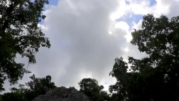 Coba Maya Ruins Ancient Building Pyramid Nohoch Mul Tropical Forest — Stock Video
