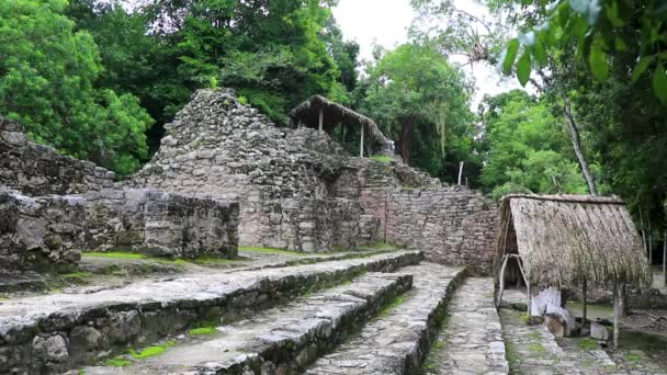 Coba Maya Tönkreteszi Ősi Épületek Piramisok Trópusi Erdő Dzsungelben Coba — Stock videók