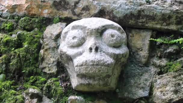 マヤ遺跡 古代の建物とピラミッド コバのトロピカルフォレストジャングルで死んだ頭蓋骨彫刻 トゥルム クインタナ メキシコ — ストック動画