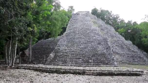 Coba Maya Arruína Antigo Edifício Pirâmide Nohoch Mul Selva Floresta — Vídeo de Stock