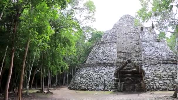 Xaibe Bij Coba Maya Ruïneert Oude Gebouwen Piramides Het Tropisch — Stockvideo