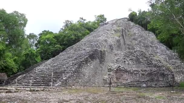 Coba Maya Ruiny Starożytnego Budynku Piramidy Nohoch Mul Tropikalnej Dżungli — Wideo stockowe