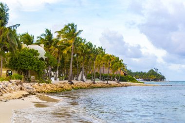 Playa del Carmen Mexico 'da turkuvaz mavisi tatil beldeleri ve palmiye ağaçları olan tropik Meksika Karayip plajı manzarası..