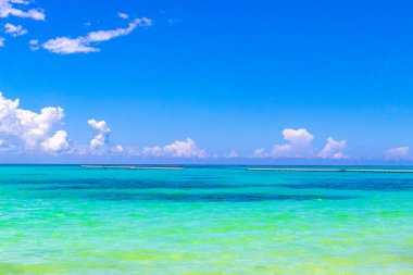 Playa del Carmen Mexico 'da turkuvaz mavisi tatil beldeleri ve palmiye ağaçları olan tropik Meksika Karayip plajı manzarası..