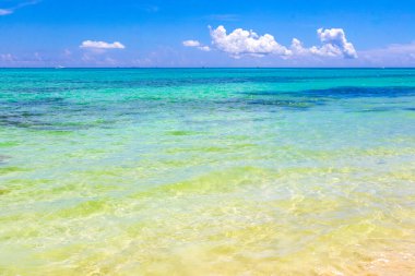 Playa del Carmen Mexico 'da turkuvaz mavisi tatil beldeleri ve palmiye ağaçları olan tropik Meksika Karayip plajı manzarası..