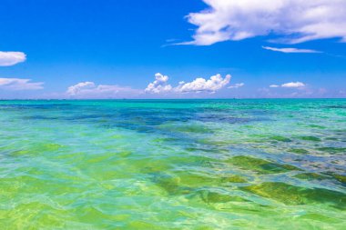 Playa del Carmen Mexico 'da turkuvaz mavisi tatil beldeleri ve palmiye ağaçları olan tropik Meksika Karayip plajı manzarası..
