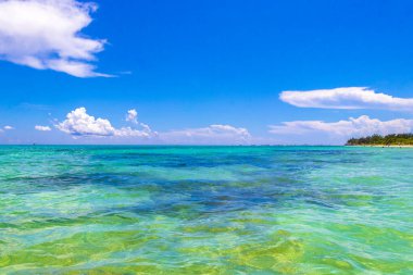 Playa del Carmen Mexico 'da turkuvaz mavisi tatil beldeleri ve palmiye ağaçları olan tropik Meksika Karayip plajı manzarası..