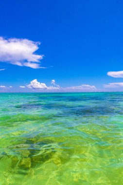 Playa del Carmen Mexico 'da turkuvaz mavisi tatil beldeleri ve palmiye ağaçları olan tropik Meksika Karayip plajı manzarası..